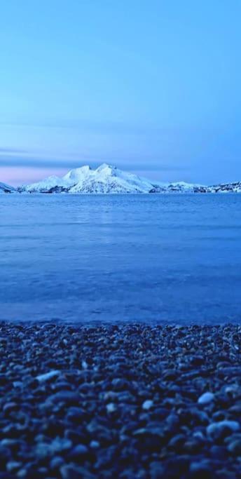 Romslig Kystperle Med Sjel I Skulsfjord *